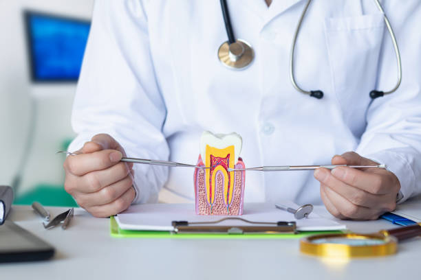 Best Holiday Emergency Dentist in Cramerton, NC